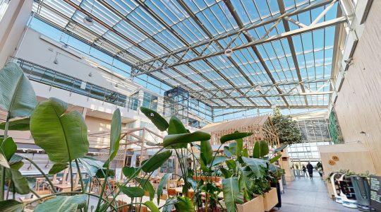 atrium1