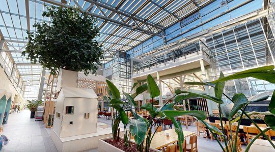 atrium3